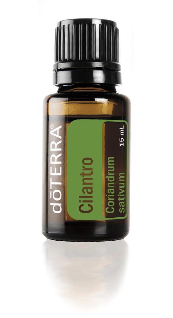 Cilantro 15 ml
